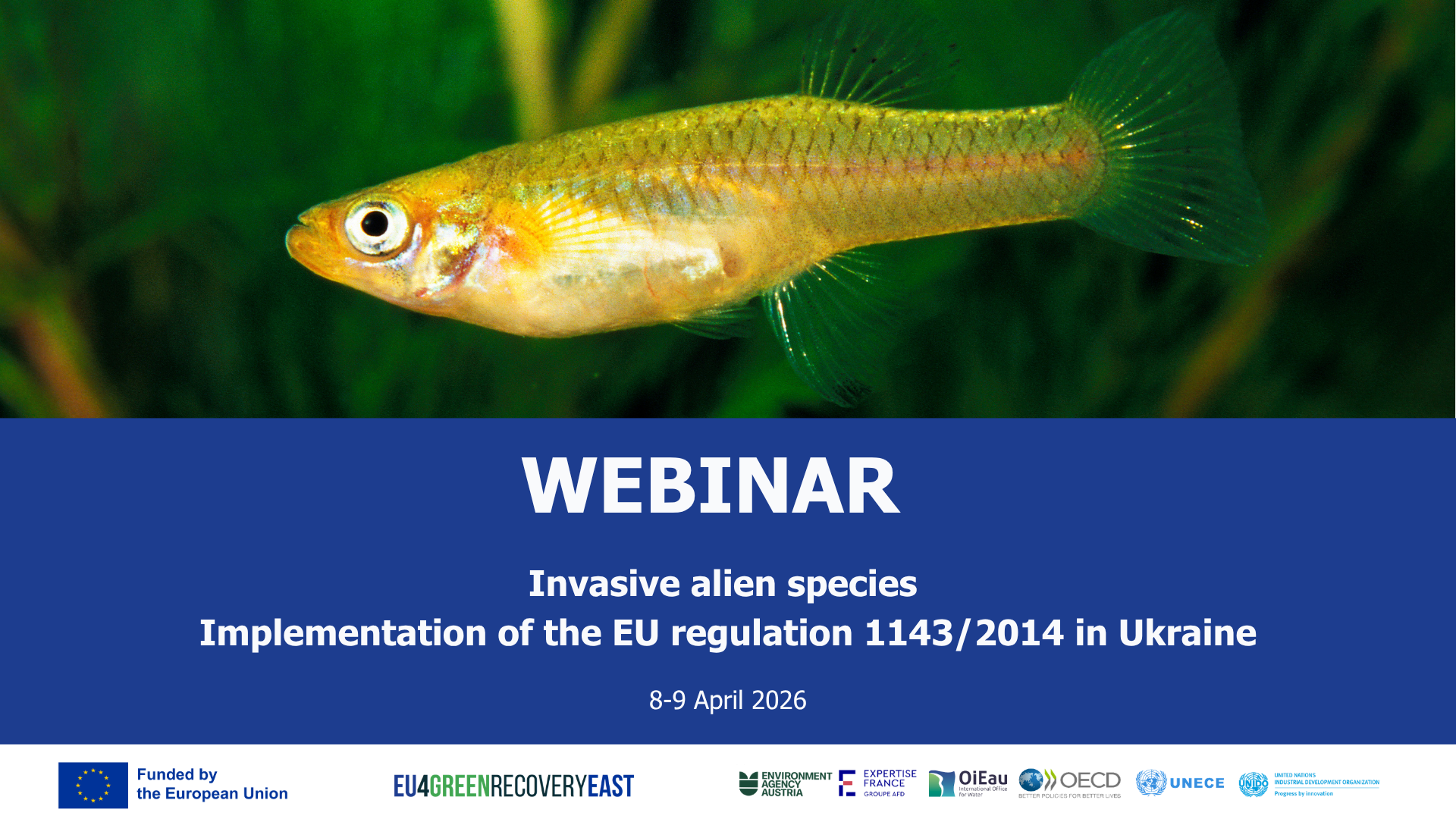 Webinar on Invasive Alien Species (IAS) and the implementation of the EU regulation 1143/2014 in Ukraine